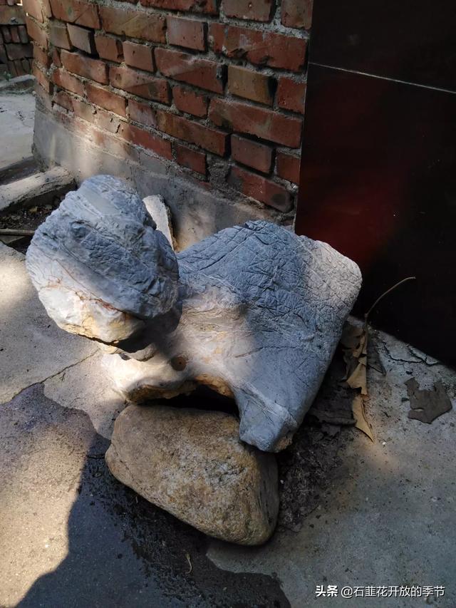 时空造化诀（炼化时空法则）