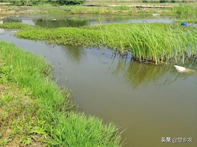 农业水产养殖过剩怎么办，农业水产养殖过剩怎么办呢