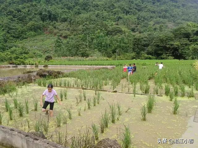 五一儿童自驾游路线，五一儿童自驾游路线图