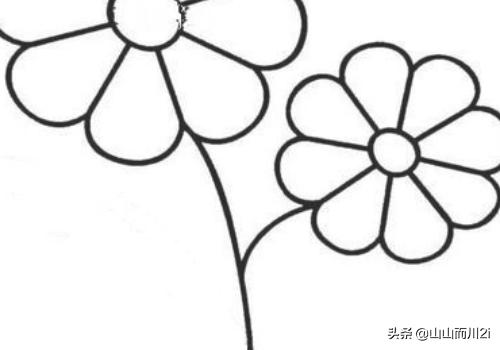 100个花卉简笔画? 100个花卉简笔画图片!