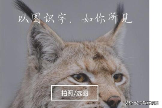 微信上线小程序翻译怎么弄