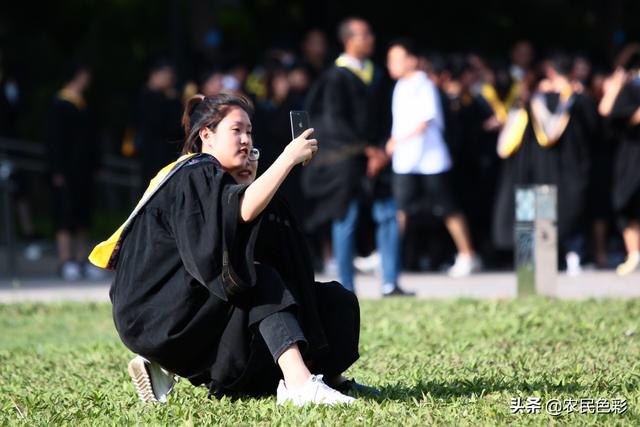 双拥文化长廊建设方案？：高校景观设计大赛展板