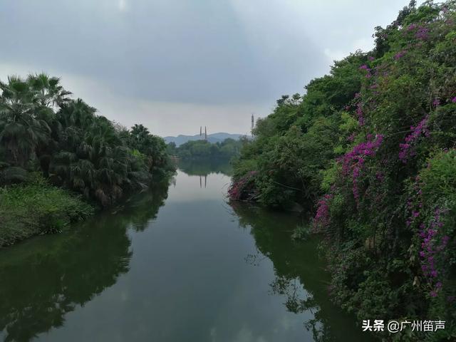 迪庆藏族自治州香格里拉市纸飞机账号购买