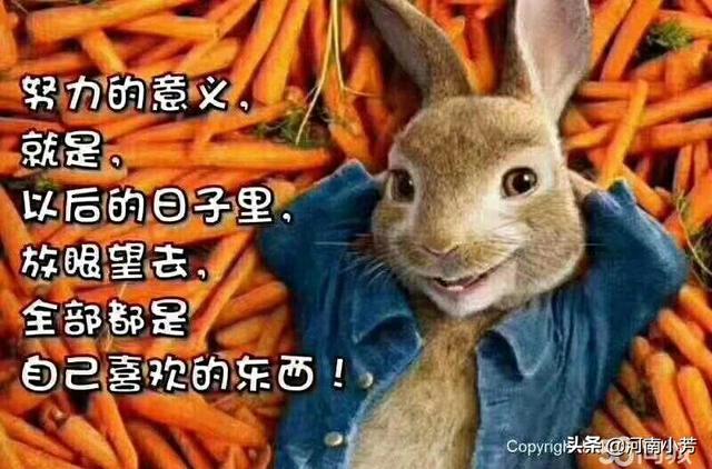 女人问什么好处怎么回答(图2)