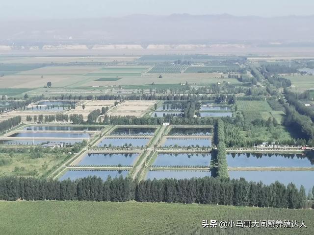 湘潭县今日猪价趋势图-湘潭县今日猪价趋势图最新