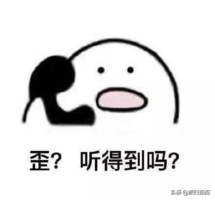 说说大家玩轮滑的时候都玩什么游戏，带动气氛？作为一个导游，在带团的车上有什么可以互动的小游戏？
