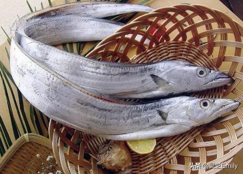 海魚圖片大全?海魚圖片大全及名稱!