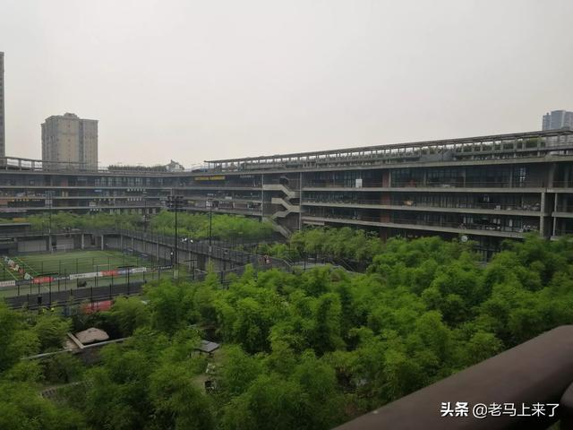 [低碳景观设计设想]花舞人间的推荐路线？