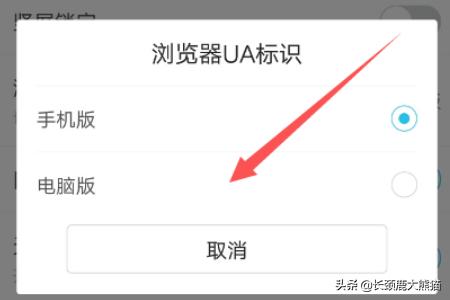 手机搭建网站电脑搭建网页