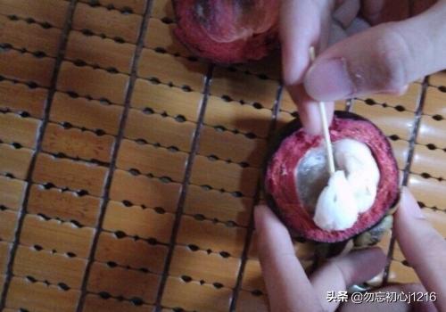 图片演示正确剥开山竹的方法，山竹怎么吃
