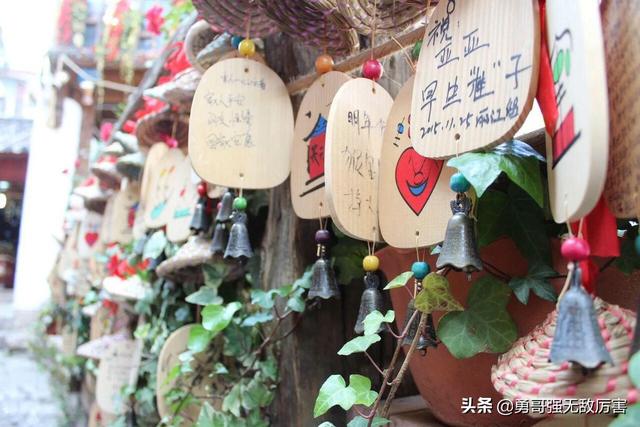 云南丽江市玉龙纳西族自治县赏花评价好的农家乐排名前三有哪些,