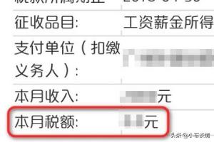 地方税务局网站助力个人纳税，让你轻松缴税无烦恼，税务局怎么交个人所得税
