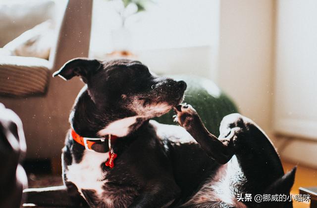 癣怎么治疗(顽固性皮癣怎么治疗)