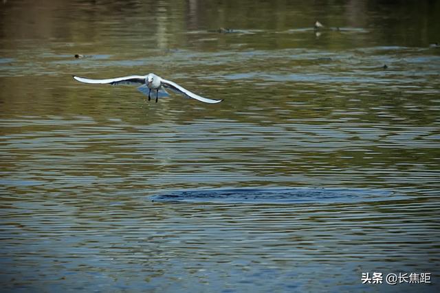 raw格式怎么转换jpg（raw格式怎么转换jpg文件大小会不会变小）