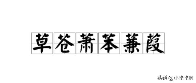 [草字头寓意好的字]有三滴水，有草字头的字？