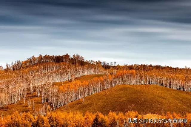 呼伦贝尔市海拉尔区纸飞机账号购买建议