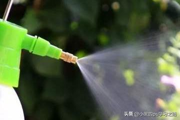 花卉叶子啧水?花叶子有水渍怎么办!