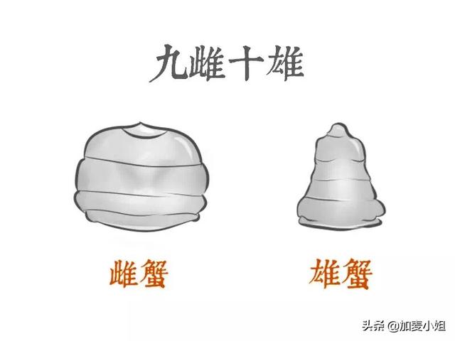 泡母螃蟹和公螃蟹怎么吃(图4)