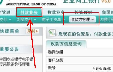 怎么使用网银(怎么使用网银操作)