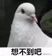 明星经典口头禅_明星经典口头禅大全