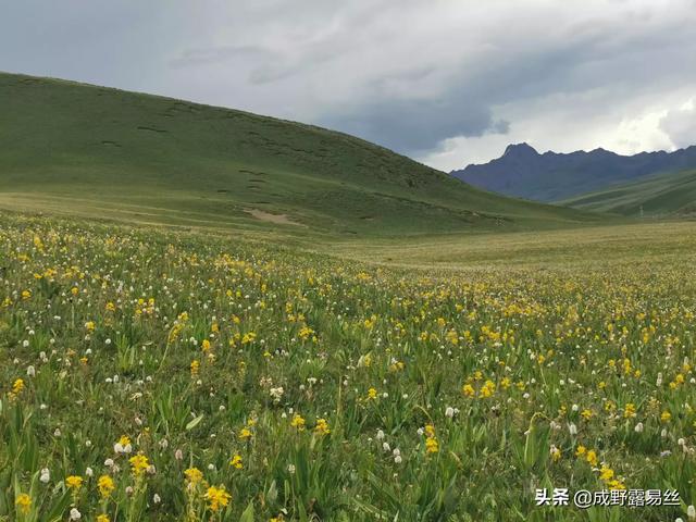 色达特色景点介绍图片，色达特色景点介绍图片大全