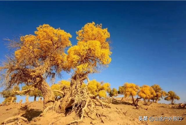 十月一有什么好的旅游景点去吗怎么收费的