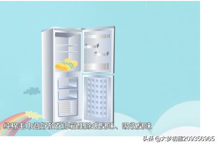 怎么去除冰箱异味(图4)