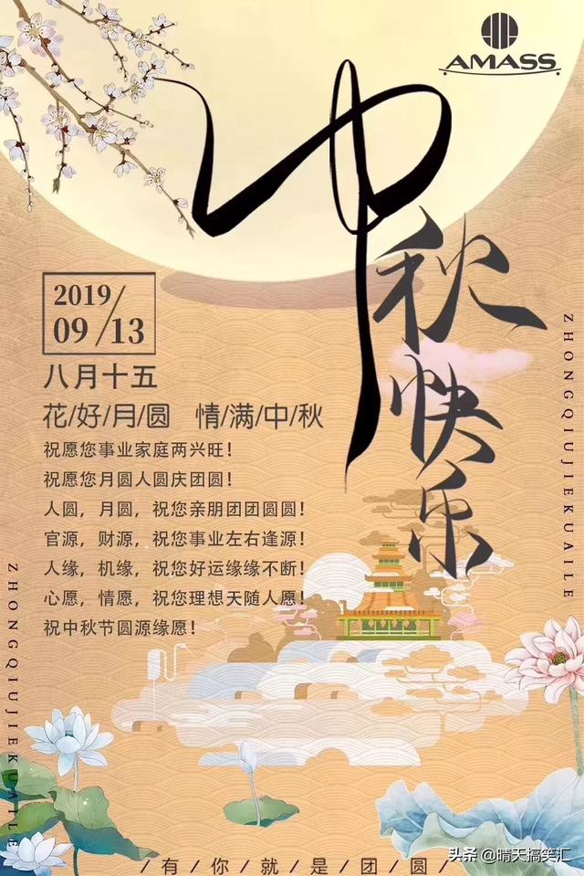 河北沧县生猪价格-河北沧县生猪价格表