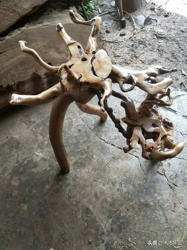 [树根图片]哪些树的根比较适合做根雕？