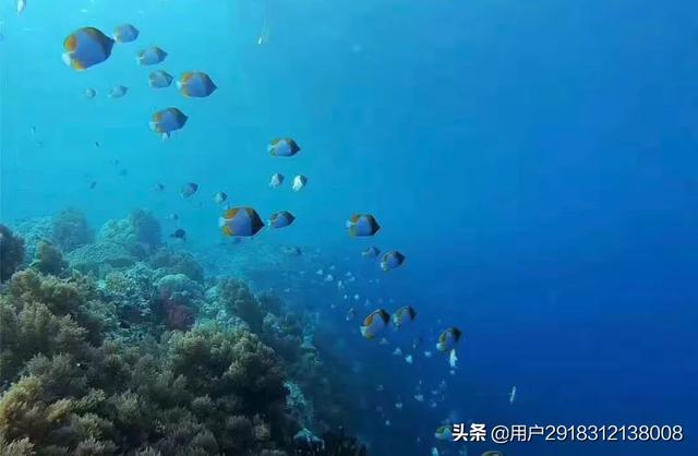 帕劳旅游景点大全， 帕劳旅游景点大全图片