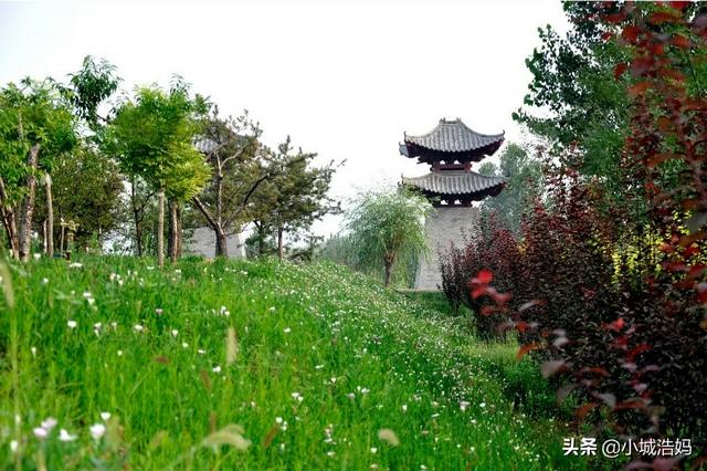 西部长青景点门票价格， 西部长青景区门票价格