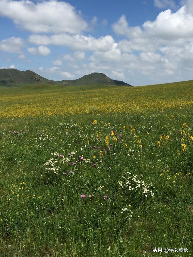 大草原旅游景点大全， 大草原旅游景点大全图片