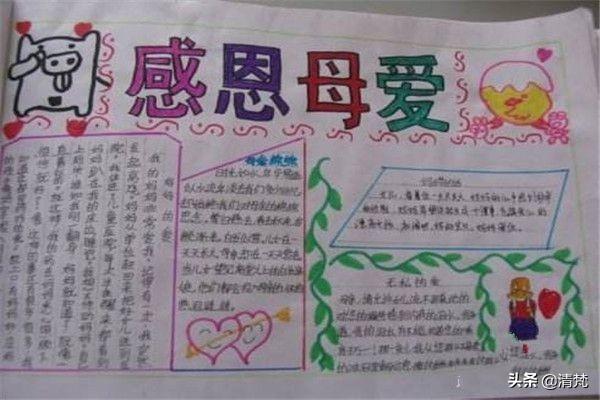 关于花的手抄报(祖国在我心中手抄报里该画什么花？)