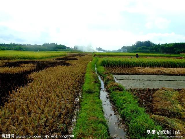 夏日农村生活用品有哪些，夏日农村生活用品有哪些品牌