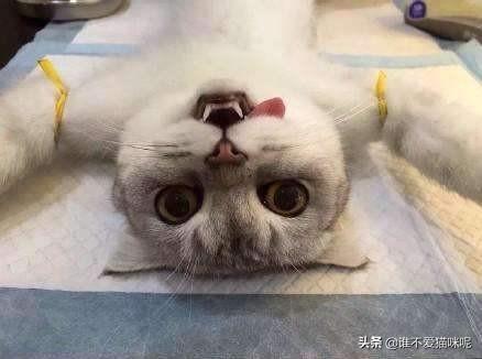 女人便秘都有哪些症状(图4)