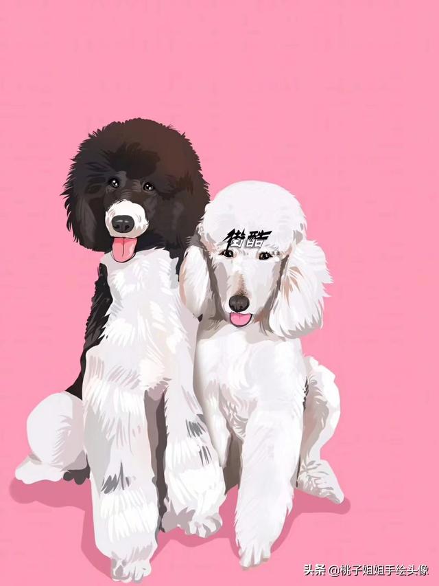 动物的故事图片（动物的故事图片大全）