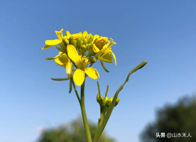 摄影穿着与背景如何搭配(图11)