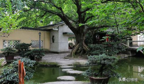 重庆值得浪的地方（求重庆5a景区排名，哪些比较值得去？）