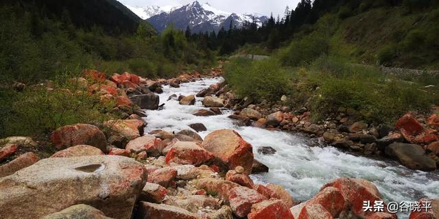 西宁市湟中区纸飞机账号购买服务