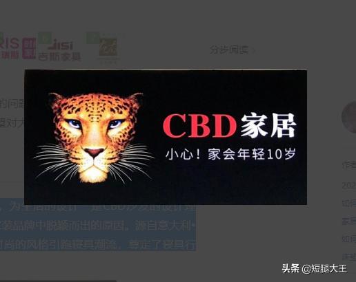 中国十大品牌沙发-中国十大品牌沙发排行榜前十名