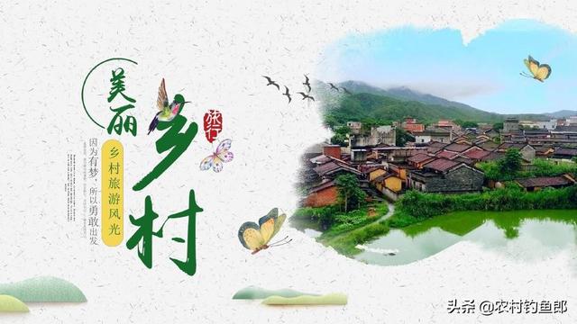 蔬菜合作社怎样成立，蔬菜合作社怎样成立的