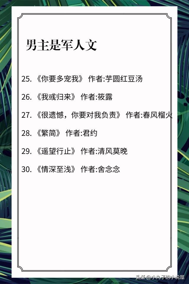 哪位好心人能推荐几本男主是军人或警察的言情小说