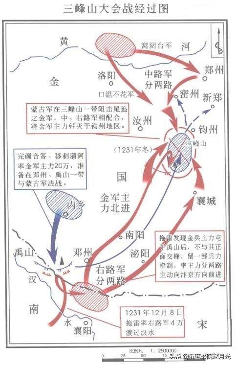 禹州粮食价格行情走势最新，禹州粮食价格行情走势最新消息