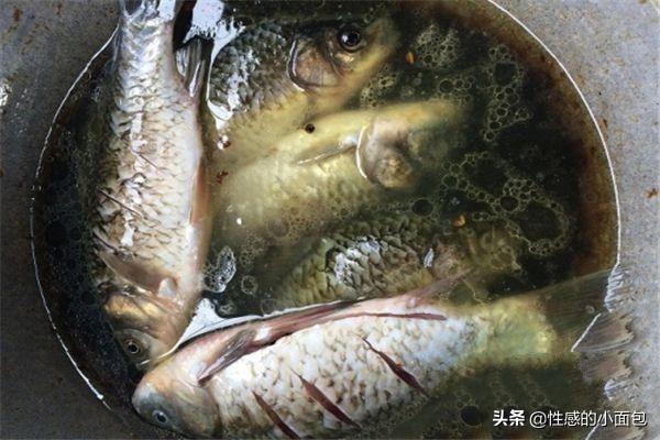 草鱼做法大全-草鱼做法大全菜谱