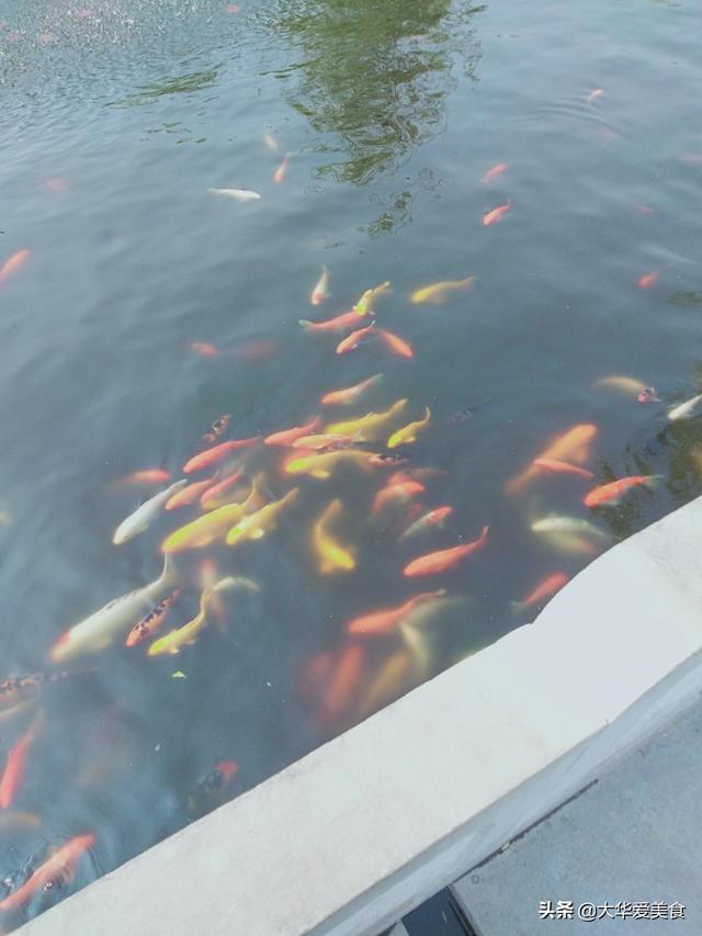 邢台自驾游去哪里好玩（邢台自驾游一天适合的旅游景点）