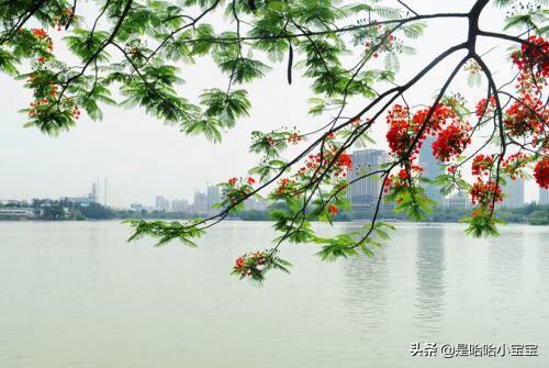 杭州西湖景色描写？