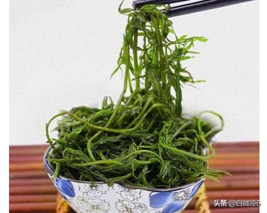 马尾藻怎么做好吃(图4)