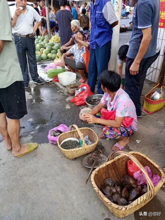 野味的做法大全家常菜（红嘴雁带汤怎么做？）