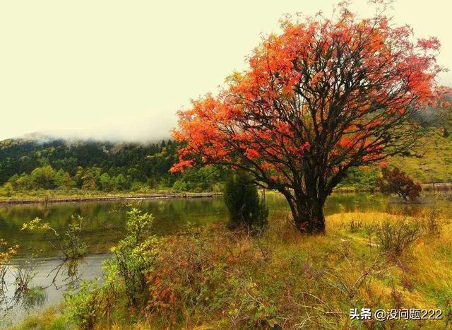 理县有哪些必去的景点(图1)