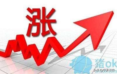 养一千头猪能赚多少